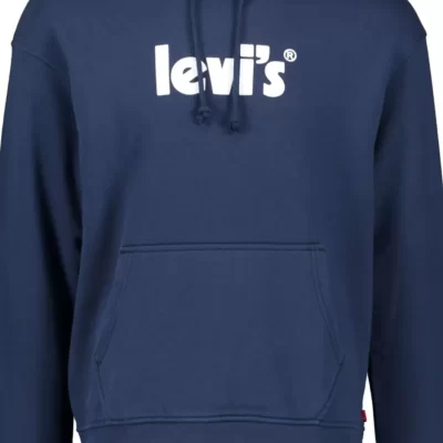 LEVIS Relaxed Graphic Po Poster Hoodie-Herr Tr Jor